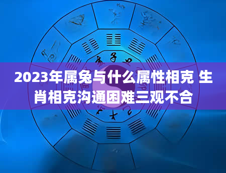 2023年属兔与什么属性相克 生肖相克沟通困难三观不合