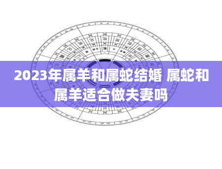 2023年属羊和属蛇结婚 属蛇和属羊适合做夫妻吗