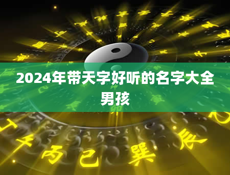 2024年带天字好听的名字大全男孩