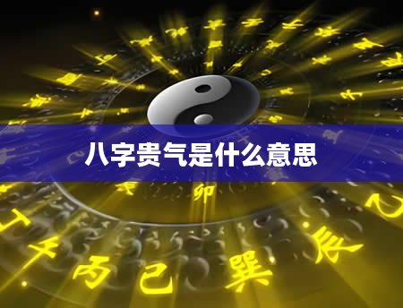 八字贵气是什么意思