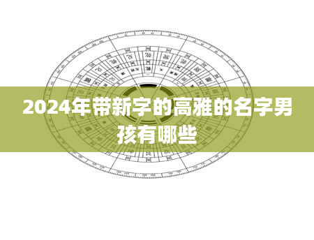 2024年带新字的高雅的名字男孩有哪些