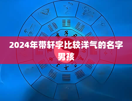 2024年带轩字比较洋气的名字男孩