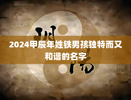 2024甲辰年姓铁男孩独特而又和谐的名字