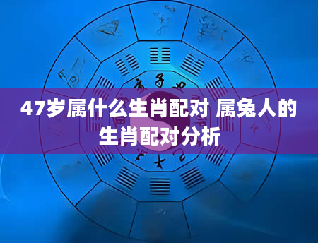 47岁属什么生肖配对 属兔人的生肖配对分析