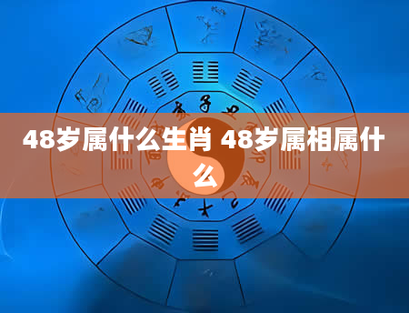 48岁属什么生肖 48岁属相属什么