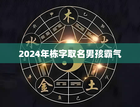 2024年栋字取名男孩霸气