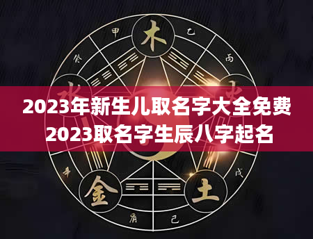 2023年新生儿取名字大全免费 2023取名字生辰八字起名