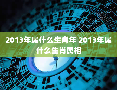 2013年属什么生肖年 2013年属什么生肖属相