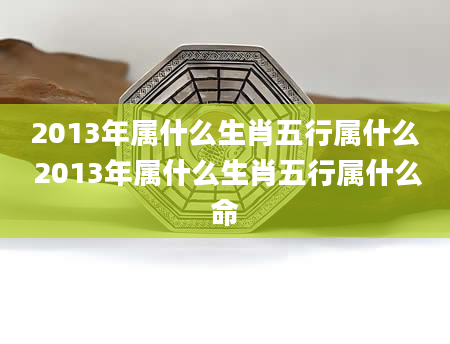 2013年属什么生肖五行属什么 2013年属什么生肖五行属什么命