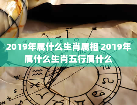 2019年属什么生肖属相 2019年属什么生肖五行属什么