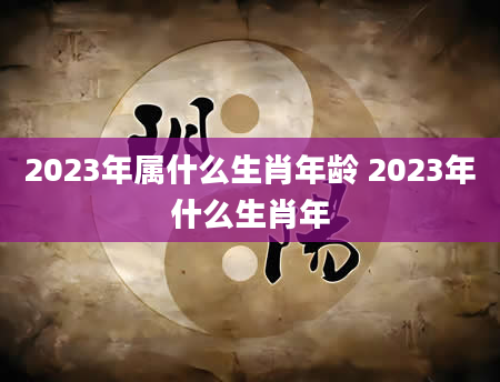 2023年属什么生肖年龄 2023年什么生肖年