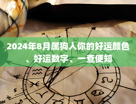 2024年8月属狗人你的好运颜色、好运数字、一查便知