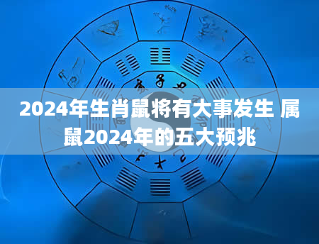 2024年生肖鼠将有大事发生 属鼠2024年的五大预兆