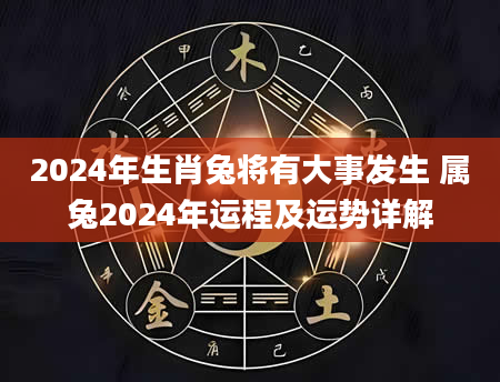 2024年生肖兔将有大事发生 属兔2024年运程及运势详解