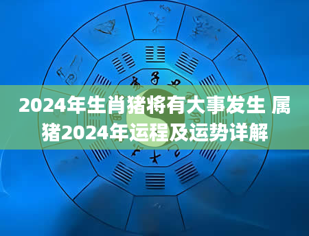 2024年生肖猪将有大事发生 属猪2024年运程及运势详解