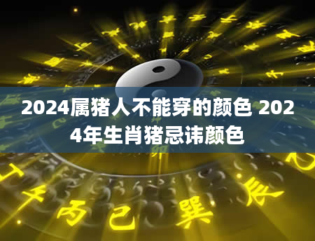 2024属猪人不能穿的颜色 2024年生肖猪忌讳颜色