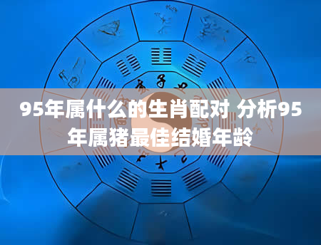 95年属什么的生肖配对 分析95年属猪最佳结婚年龄