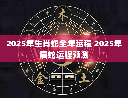 2025年生肖蛇全年运程 2025年属蛇运程预测