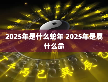 2025年是什么蛇年 2025年是属什么命