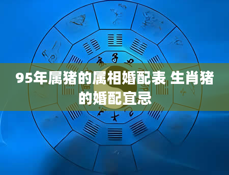 95年属猪的属相婚配表 生肖猪的婚配宜忌