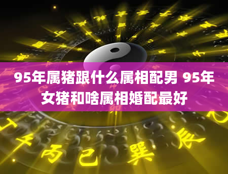 95年属猪跟什么属相配男 95年女猪和啥属相婚配最好