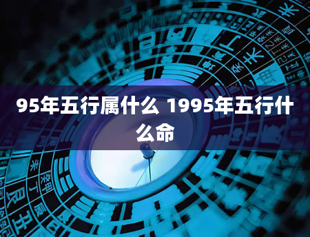 95年五行属什么 1995年五行什么命