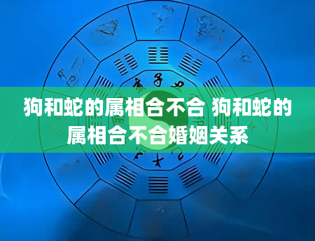 狗和蛇的属相合不合 狗和蛇的属相合不合婚姻关系