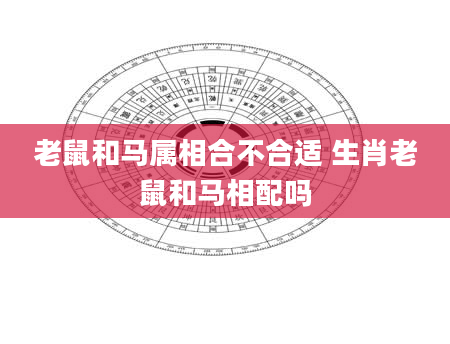 老鼠和马属相合不合适 生肖老鼠和马相配吗