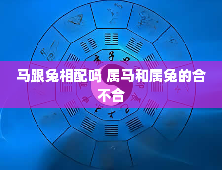 马跟兔相配吗 属马和属兔的合不合