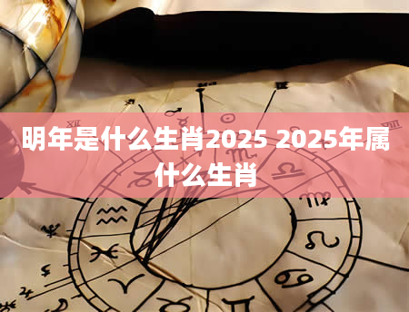 明年是什么生肖2025 2025年属什么生肖