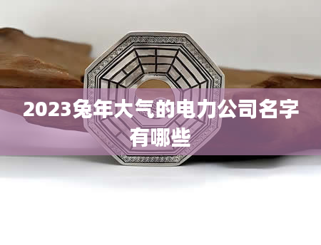 2023兔年大气的电力公司名字有哪些