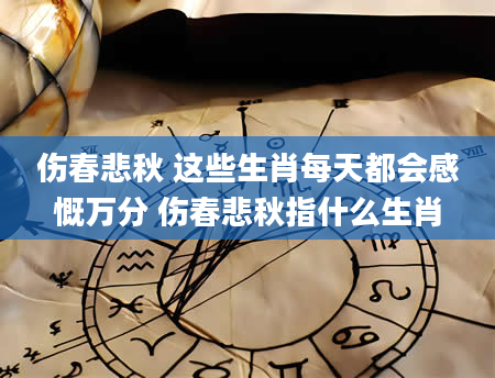 伤春悲秋 这些生肖每天都会感慨万分 伤春悲秋指什么生肖