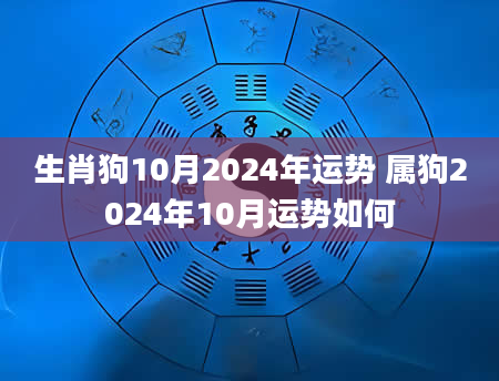 生肖狗10月2024年运势 属狗2024年10月运势如何