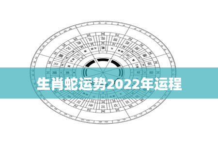 生肖蛇运势2022年运程