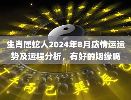 生肖属蛇人2024年8月感情运运势及运程分析，有好的姻缘吗