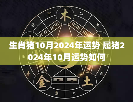 生肖猪10月2024年运势 属猪2024年10月运势如何