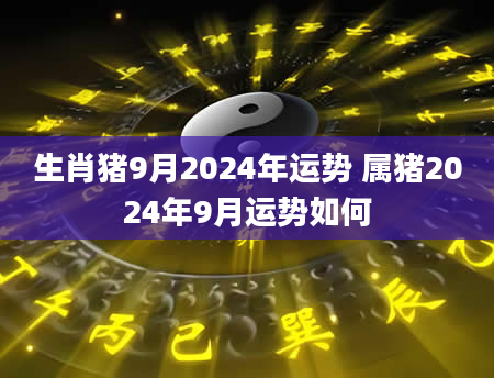 生肖猪9月2024年运势 属猪2024年9月运势如何