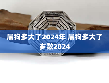 属狗多大了2024年 属狗多大了岁数2024