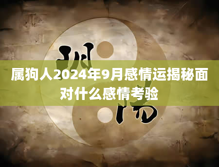 属狗人2024年9月感情运揭秘面对什么感情考验