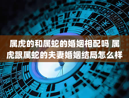 属虎的和属蛇的婚姻相配吗 属虎跟属蛇的夫妻婚姻结局怎么样