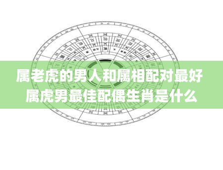 属老虎的男人和属相配对最好 属虎男最佳配偶生肖是什么