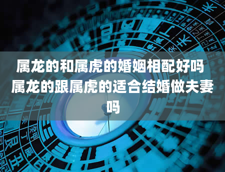 属龙的和属虎的婚姻相配好吗 属龙的跟属虎的适合结婚做夫妻吗