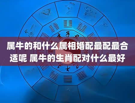 属牛的和什么属相婚配最配最合适呢 属牛的生肖配对什么最好