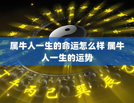 属牛人一生的命运怎么样 属牛人一生的运势