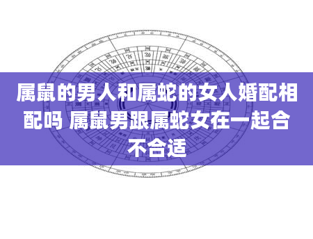 属鼠的男人和属蛇的女人婚配相配吗 属鼠男跟属蛇女在一起合不合适