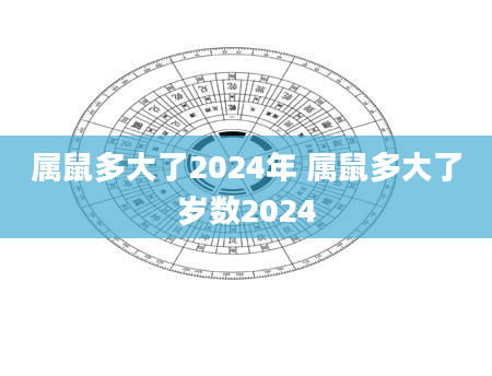 属鼠多大了2024年 属鼠多大了岁数2024