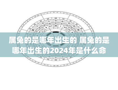 属兔的是哪年出生的 属兔的是哪年出生的2024年是什么命