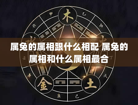 属兔的属相跟什么相配 属兔的属相和什么属相最合