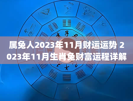 属兔人2023年11月财运运势 2023年11月生肖兔财富运程详解