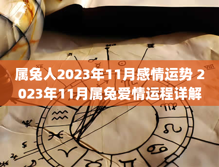 属兔人2023年11月感情运势 2023年11月属兔爱情运程详解